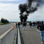 5070089_1312_mazzate