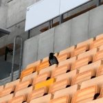 corvo1_1336370_20200229193132