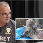 marcelo_bielsa_leeds_pinguino_crop1595345663859_jpg_1693159006