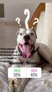 e955cb69-42a9-4e69-a2da-1f4119d493c0