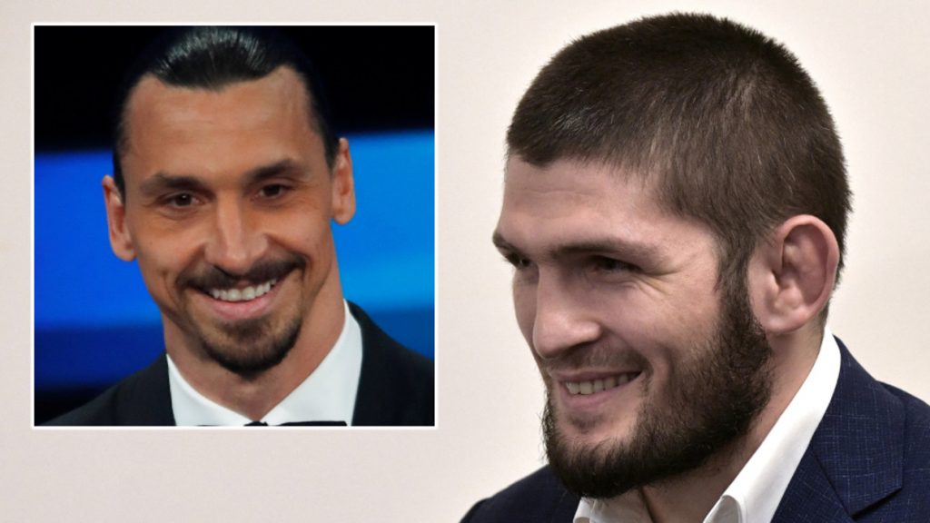 6040bc36203027353b3e8b5a