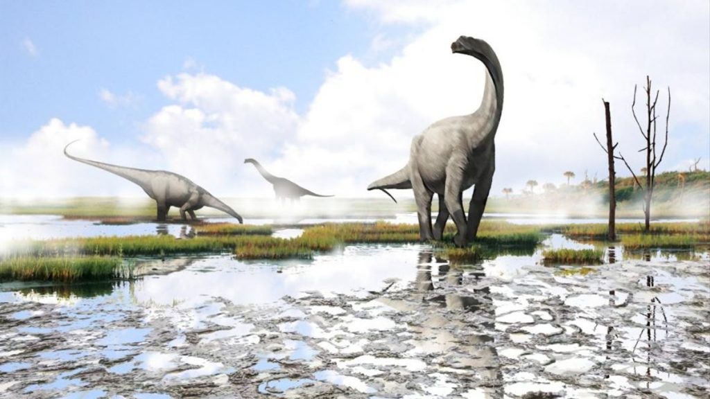 2fac8751-1367-48bd-9121-c9dd131f6193_16-9-discover-aspect-ratio_default_0