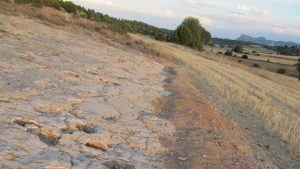 03482dab-9992-4ac6-bcae-1e03c09674b4_16-9-aspect-ratio_default_0