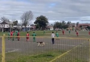 56191605-5852-43C1-899C-2972FE591D35