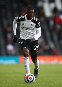 Fulham v Newcastle United - Premier League