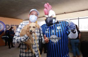 6bf74fec-95cc-4bd3-80c3-95cd39740f43