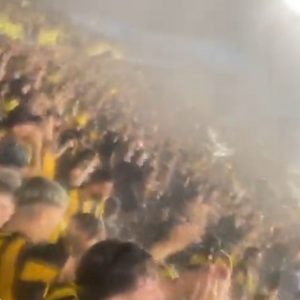 Penarol