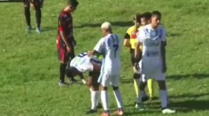 FORMICAIO BRASILEIRO