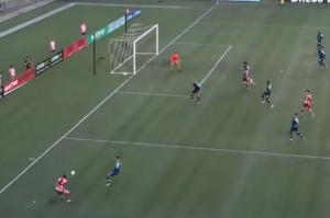 ROBERTO CARLOS ALEMAN