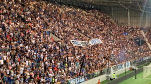 CONTROANALISI PALOMINO POSITIVO