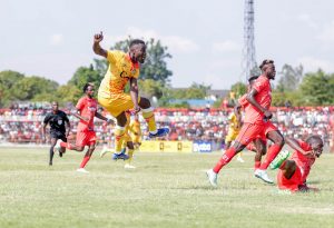 316540106_529551295836334_2185433175885578189_n