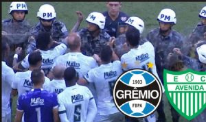 POLIZIA GREMIO