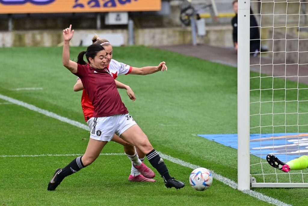 0c9419f6-4b7d-42df-a21c-b6c022cddf67