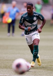 Palmeiras v Ferroviária - Sao Paulo State Championship