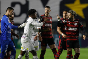 Santos v Flamengo - Brasileirao 2022