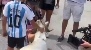 MESSI GOAT