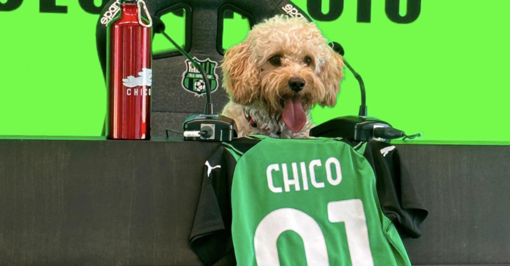 CHICO SASSUOLO