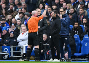 Brighton &amp; Hove Albion v Crystal Palace - Premier League