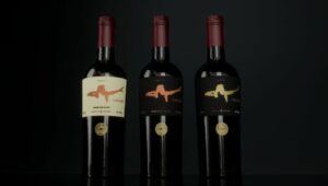 800x453-vinos-de-cavani-medium-size