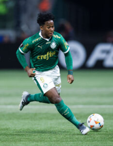 Palmeiras v Independiente del Valle - Copa CONMEBOL Libertadores 2024