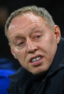 Fulham FC v Nottingham Forest - Premier League