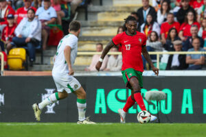 Portugal v Republic of Ireland - International Friendly
