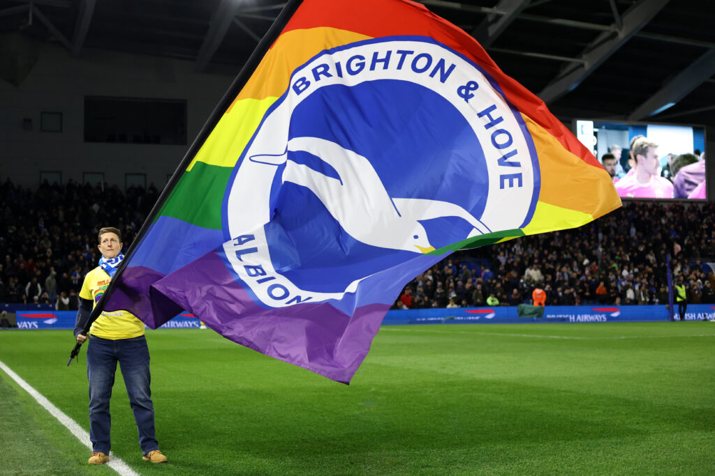 Brighton &amp; Hove Albion FC v Southampton FC - Premier League