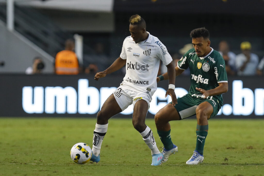 Santos v Palmeiras - Brasileirao 2022