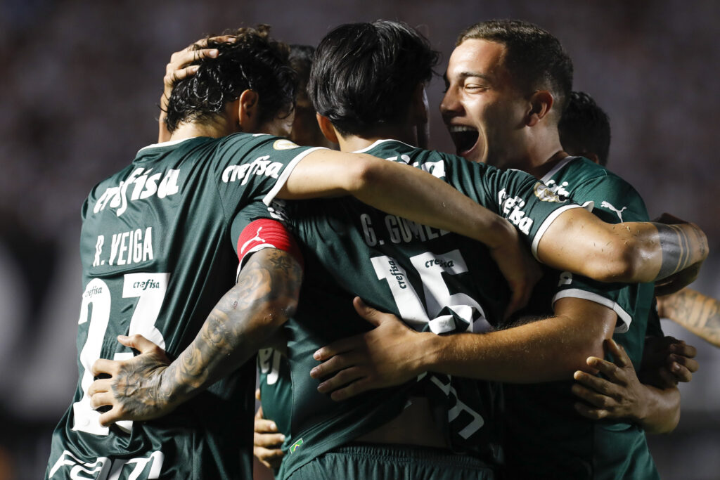 Santos v Palmeiras - Brasileirao 2022