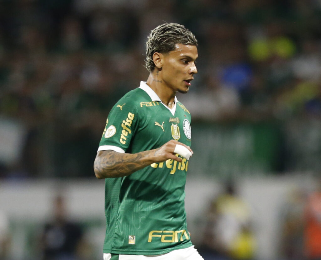 Palmeiras v Botafogo - Brasileirao 2024