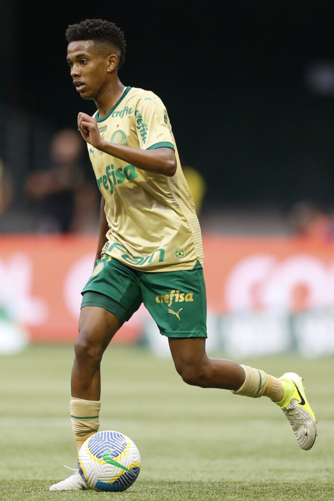 Palmeiras v Fluminense - Brasileirao 2024