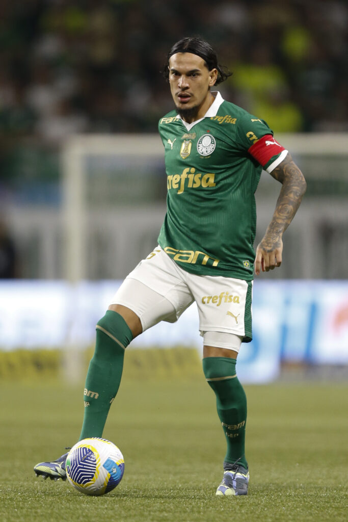 Palmeiras v Botafogo - Brasileirao 2024