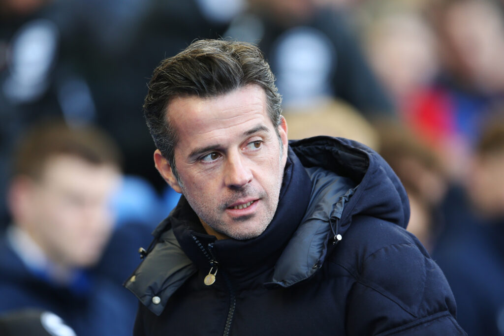 Brighton &amp; Hove Albion FC v Fulham FC - Premier League