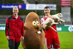 norvegia-giocatore-del-bryne-premiato-a-fine-gara-con-un-agnello