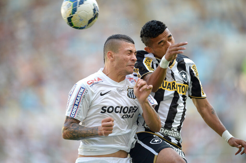 Botafogo v Santos - Brasileirao Series A 2014