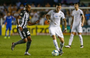 Santos v Botafogo - Brasileirao Series A 2019
