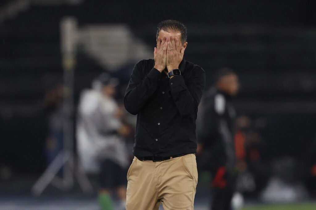 Botafogo v Internacional - Brasileirao 2025