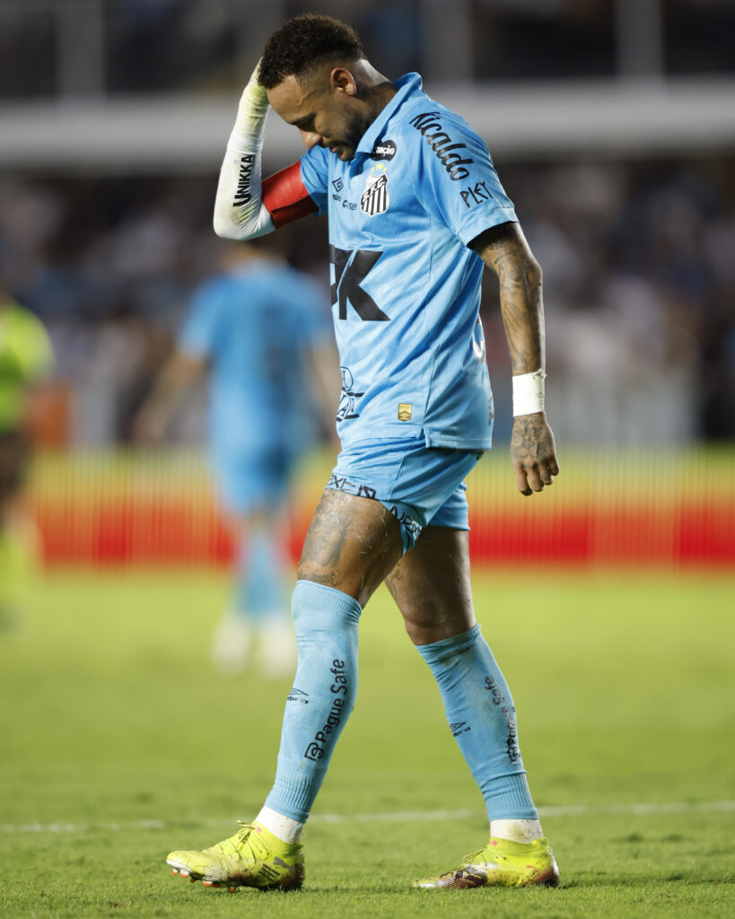 Santos v Botafogo - Brasileirao 2025