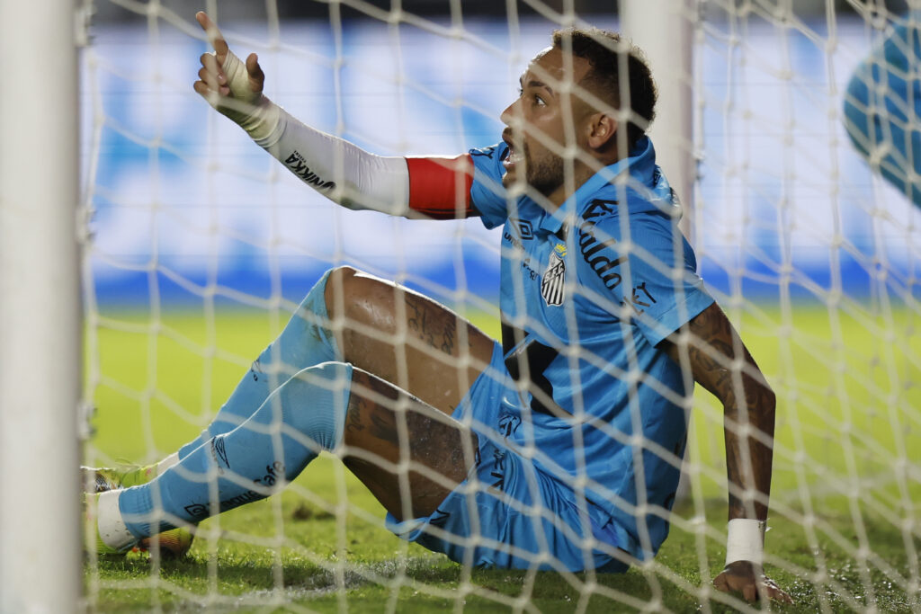 Santos v Botafogo - Brasileirao 2025