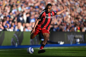 Brighton &amp; Hove Albion FC v Fulham FC - Premier League