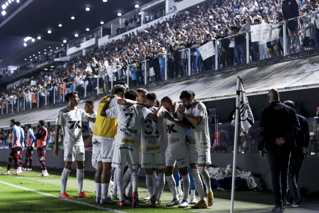 Santos v Flamengo - Brasileirao 2025