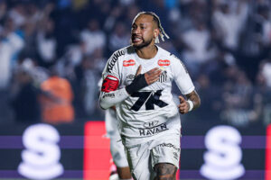 Santos v Flamengo - Brasileirao 2025