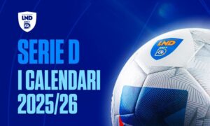 serie-d-2025-2026-pallone-ufficiale-molten-vantaggio-f5n3150