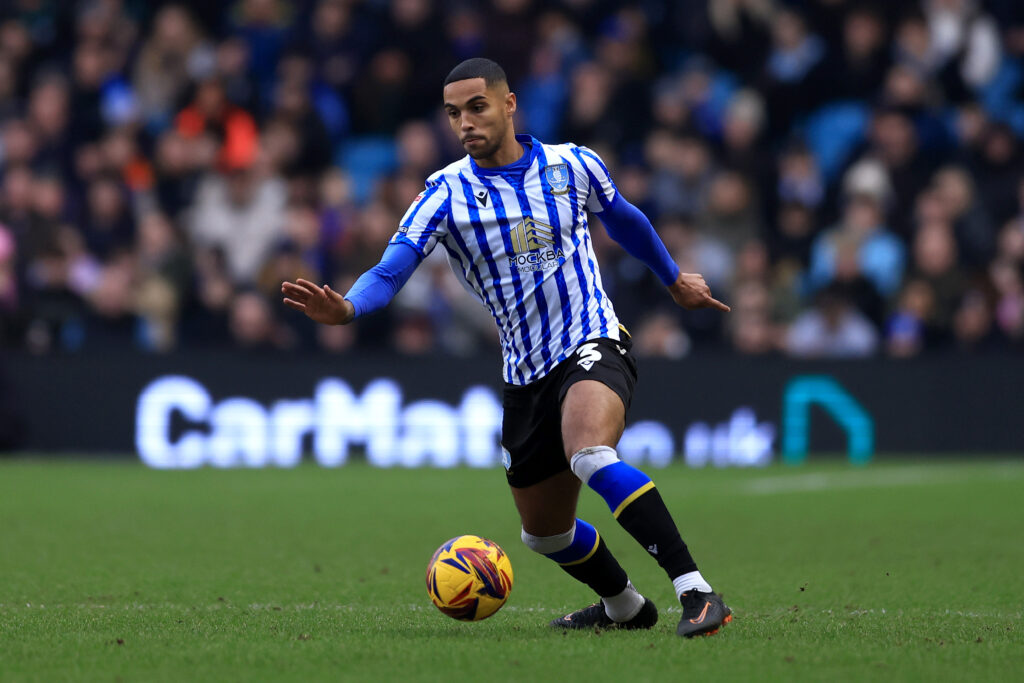 Sheffield Wednesday FC v Luton Town FC - Sky Bet Championship