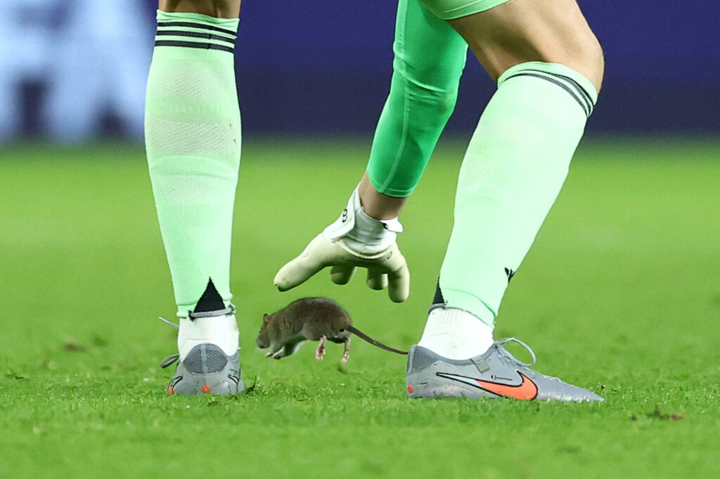 Wales v Belgium - Group J FIFA World Cup 2026 Qualifier