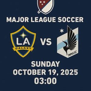 LA Galaxy-Minnesota