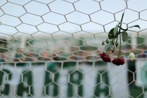 Alan Ruschel, dalla tragedia con il Chapecoense alla rinascita sportiva