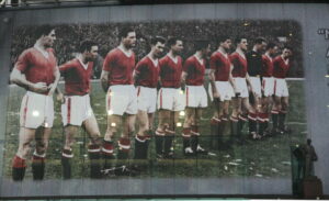 gettyimages-79104237-594x594