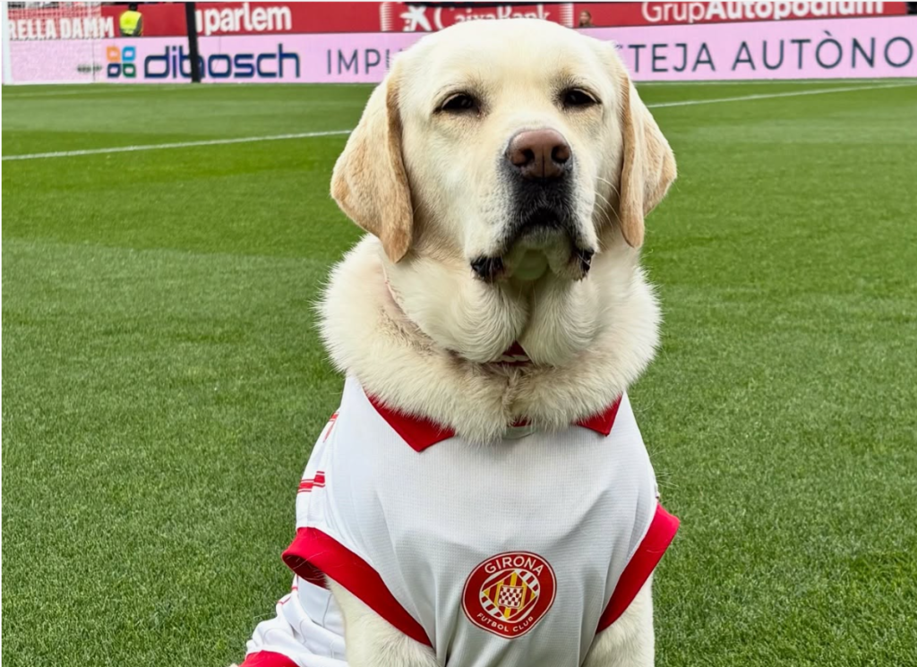 canya-mascotte-girona