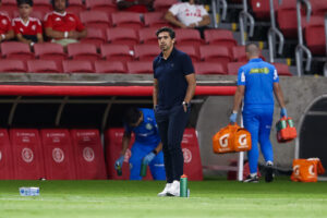 Internacional v Palmeiras - Brasileirao 2026